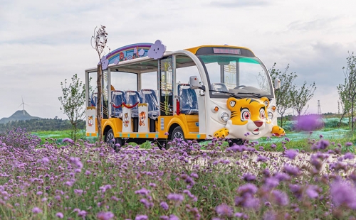 電動觀光車廠家哪個品牌好，電動觀光車市場價格